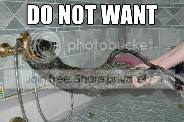 donotwant.jpg