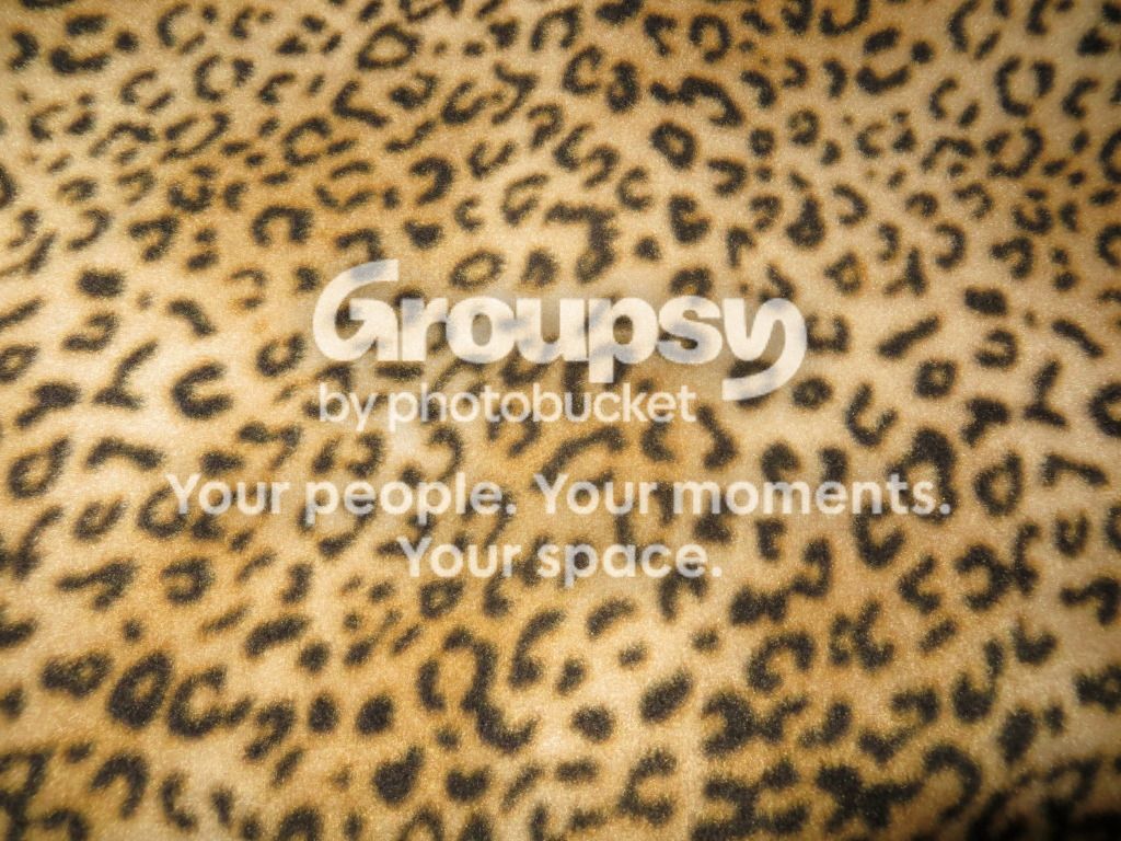 Leopardfleece.jpg