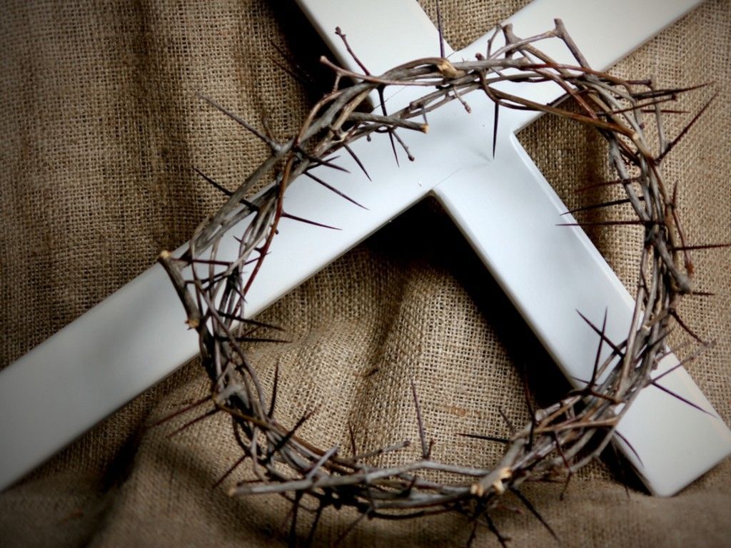 crown-of-thorns.jpg
