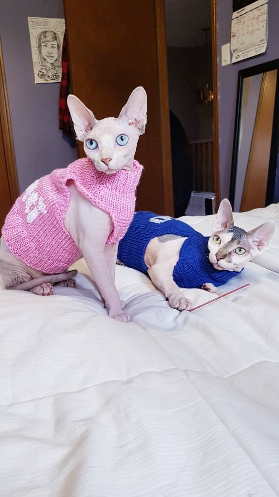 afa6615c90e2823fcb449eb39921ae1f.jpg