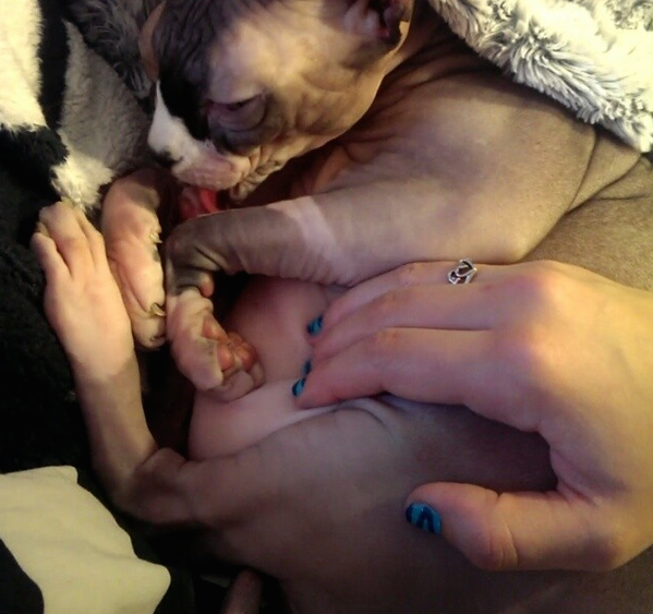 36Xha8a.png