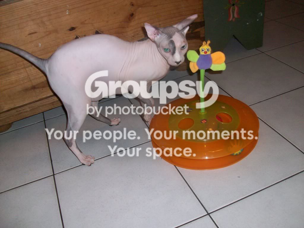 100_5018.jpg